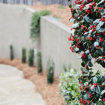North Spring Gardening - Beautiful spring expectations - Tree Services Near Me North Spring Gardening - Beautiful spring expectations - Tree Services Near Me
