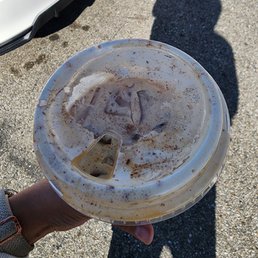 Irresistible Latte