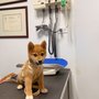 Photo of East Side Animal Hospital