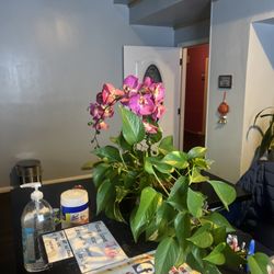 Angel Massage Spa - Lobby