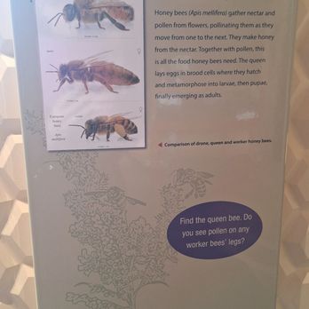Five Rivers Environmental Center - Museums Near Me - Delmar, New York