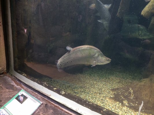 Underwater World Langkawi by null