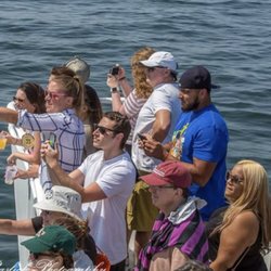 American Princess Cruises - Whale watching 
Dolphin Adventures

Winter Bird & Seal Watching Adventure Cruises