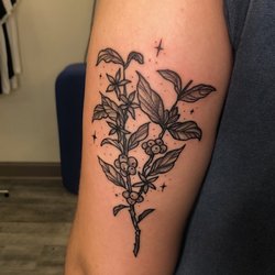 Hooded Crow Tattoo And Permanent Cosmetics