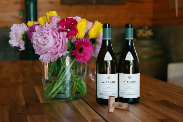 Evening Land Vineyards by null