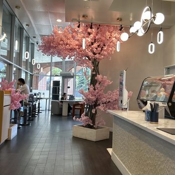 Sunny Tea Studio - Inside - Shaved Ice Near Me - Fullerton, California