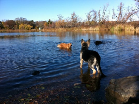 Fresh Pond by null