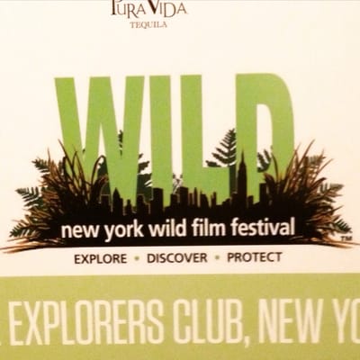 The Explorers Club by null