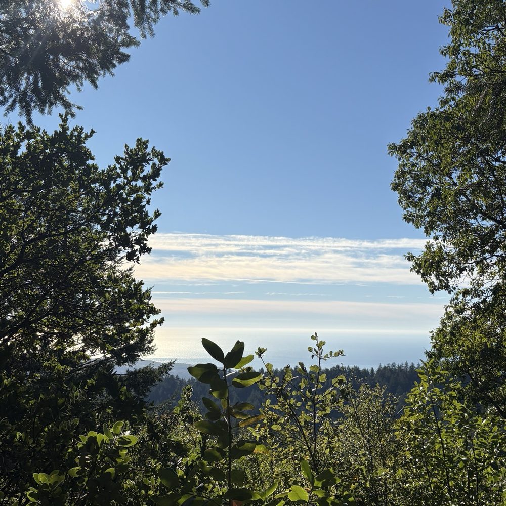 Skeggs Point - The ocean in the distance at the vista view - Hiking Near Me - Woodside, California Skeggs Point - The ocean in the distance at the vista view - Hiking Near Me - Woodside, California