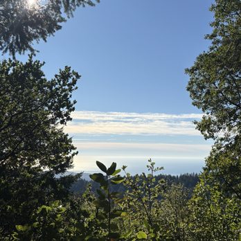 Skeggs Point - The ocean in the distance at the vista view - Hiking Near Me - Woodside, California