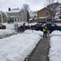 Photo of Tidy Trim Lawn Service