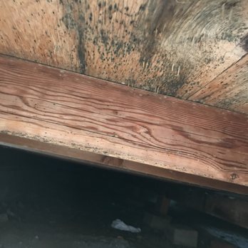 All Pro Environmental Solutions - Before - Damage Restoration Near Me - Cypress, California All Pro Environmental Solutions - Before - Damage Restoration Near Me - Cypress, California