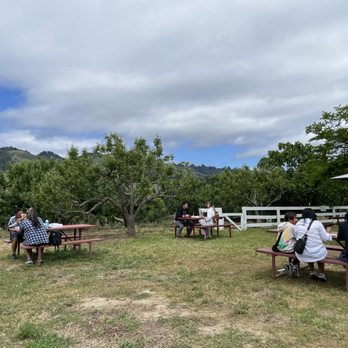 Gizdich Ranch - Outside seating area - Bakeries Near Me - Watsonville, California