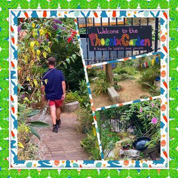 The Phoenix Garden - Montage of images from The Phoenix Garden - Nurseries & Gardening Near Me - London, XGL