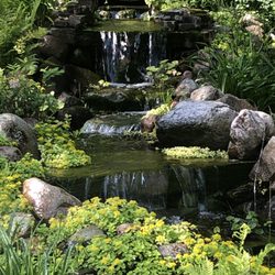 Black River Crossing Bed & Breakfast