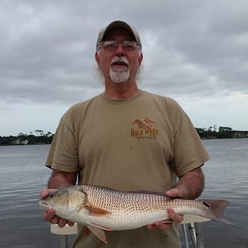 ComNgetit Fishing Charters - Fishing Near Me ComNgetit Fishing Charters - Fishing Near Me