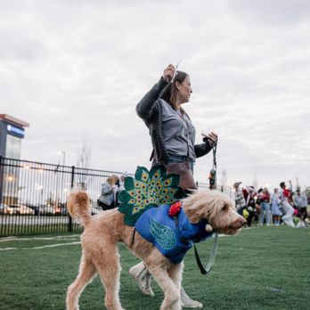 Crate Escapes Dog Park + Bar - Dog Parks Near Me - Westfield, Indiana Crate Escapes Dog Park + Bar - Dog Parks Near Me - Westfield, Indiana