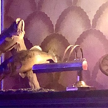 Strand Theater - Taxidermy fish, 2022 They live forever... - Performing Arts Near Me - Schroon Lake, New York Strand Theater - Taxidermy fish, 2022 They live forever... - Performing Arts Near Me - Schroon Lake, New York