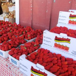 A & F Country Market - Ripe, strawberries ripe (singing tune from Oliver!)