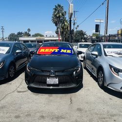 Kester Car Rental