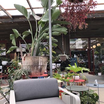 Flowerland - Nurseries & Gardening Near Me - Albany, California Flowerland - Nurseries & Gardening Near Me - Albany, California