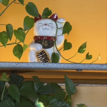 Saigonese Cafe - I keep seeing this feline cat waving at the cameras on my social media in SF - Cafes Near Me - San Francisco, California Saigonese Cafe - I keep seeing this feline cat waving at the cameras on my social media in SF - Cafes Near Me - San Francisco, California