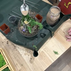 Plant Me Studio - Succulent bowl making in action at Plant Me Studio