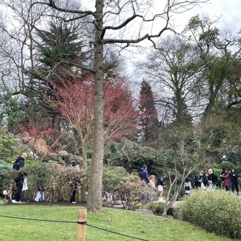 Holland Park - Parks Near Me - London, XGL Holland Park - Parks Near Me - London, XGL