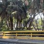 Photo of Plaza Melchor Ocampo