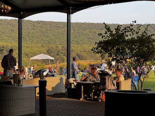 Big Cork Vineyards by null