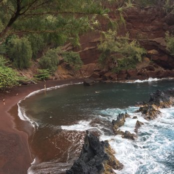 Sandy Cheeks Tours - Tours Near Me