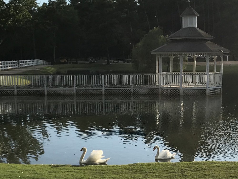 HIDDEN FORREST EQUESTRIAN CENTER Updated August 2024 1333 Jackson