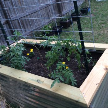 Farmer's Nursery - A week after planting! - Nurseries & Gardening Near Me - Leander, Texas
