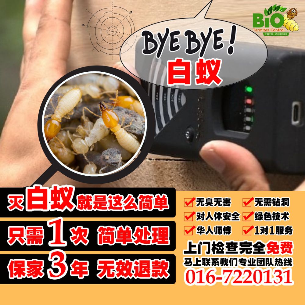 TERMITES CONTROL KING PENANG KEDAH 10 Lorong Cengal 5, Taman Industri Cengal,, Butterworth