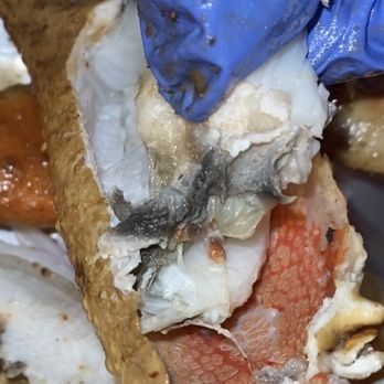 Claw Daddy's - Spoiled crabmeat - Cajun/Creole Near Me - Brooklyn, New York