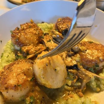 Little Bohemian - Who only sears a scallop on one side?! - Steakhouses Near Me - Midland, Texas Little Bohemian - Who only sears a scallop on one side?! - Steakhouses Near Me - Midland, Texas