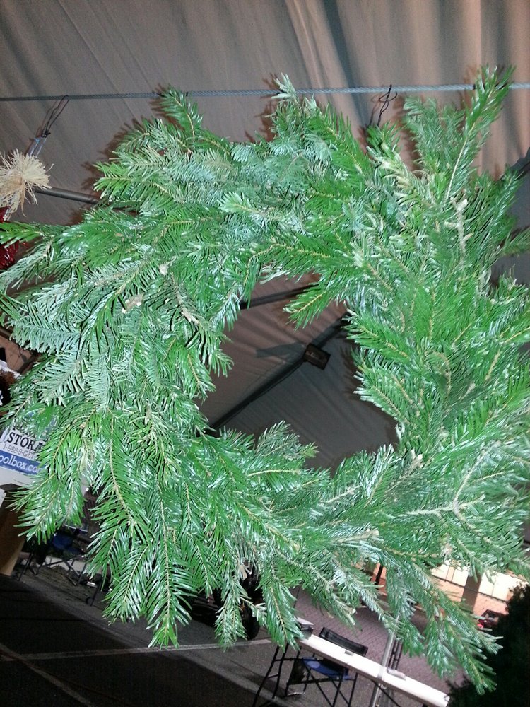 BUCKELEW FARMS CHRISTMAS TREES Updated April 2024 12 Photos 9312