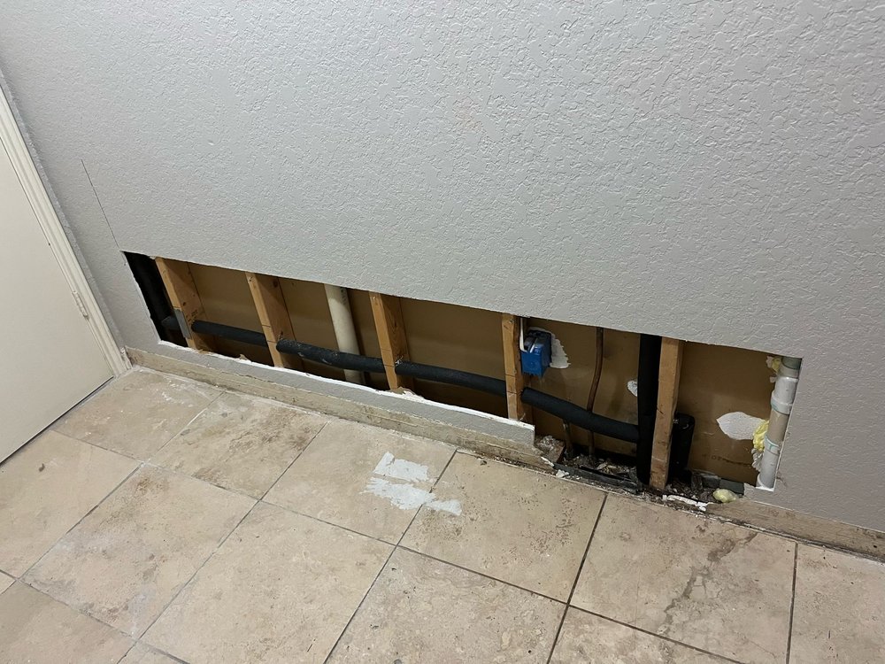 Slide of TIPR Services