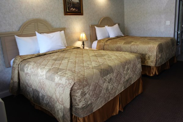 Country view Inn & Suites by null