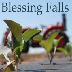 Blessing Falls Family Farm