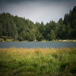 Étang de pradeille