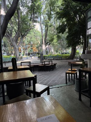 Cicatriz by null Cicatriz by null