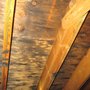Photo of CJ Home & Mold Inspection