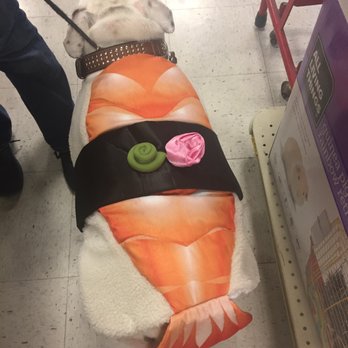 Sushi Kuu - We love Sushi Kuu - Sushi Bars Near Me - Visalia, California Sushi Kuu - We love Sushi Kuu - Sushi Bars Near Me - Visalia, California