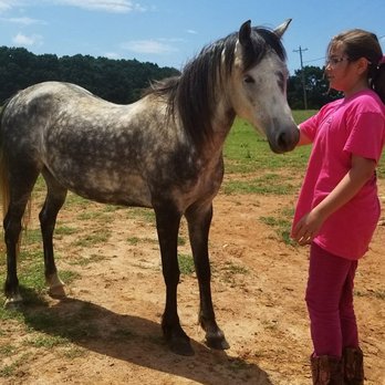 Spring Valley Farm - Kids interact with many lovely animals here - Horse Boarding Near Me - Moneta, Virginia