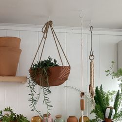 Ceremony Botanical Studio - Hanging basket