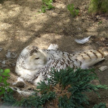 Le Zoo de Lille - Parks Near Me - Lille, 59