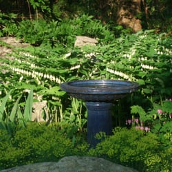 BSB Landscape and Garden