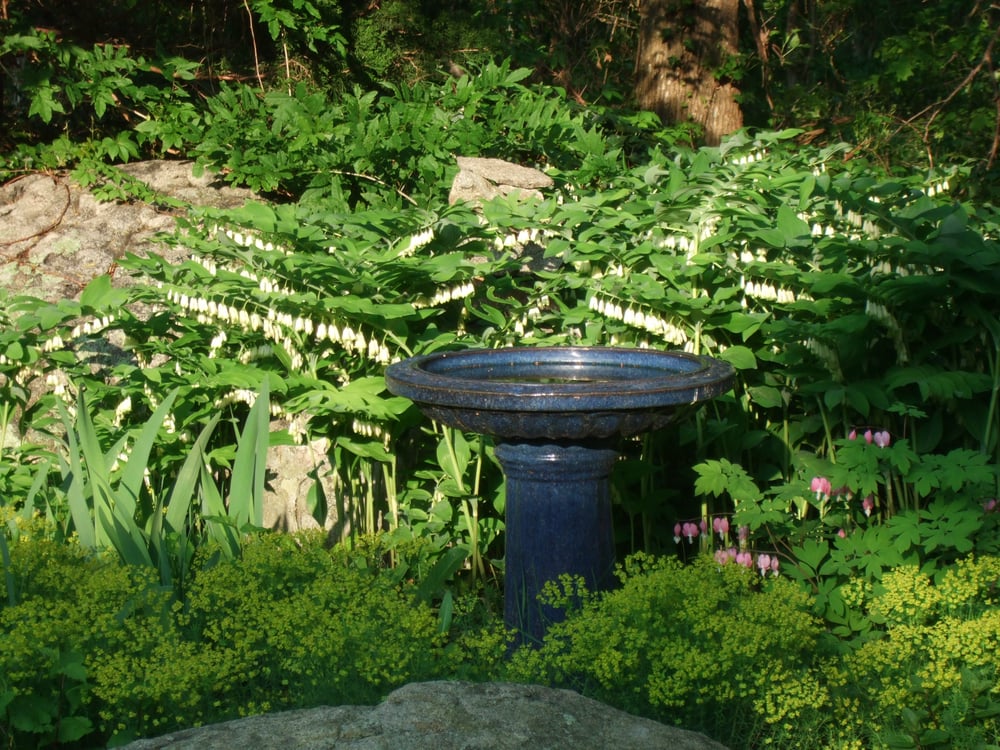 BSB LANDSCAPE AND GARDEN Updated September 2024 11 Photos