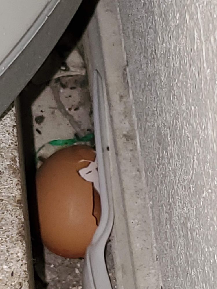 WILLOW WALK APARTMENTS Updated October 2024 3808 N Ann Arbor Ave